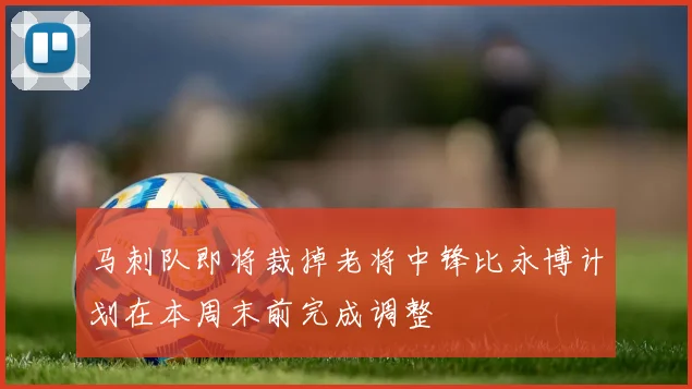 马刺队即将裁掉老将中锋比永博计划在本周末前完成调整