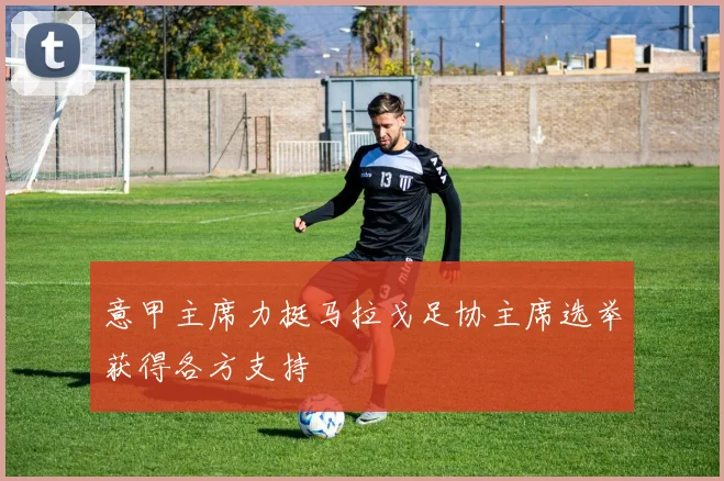 意甲主席力挺马拉戈足协主席选举获得各方支持