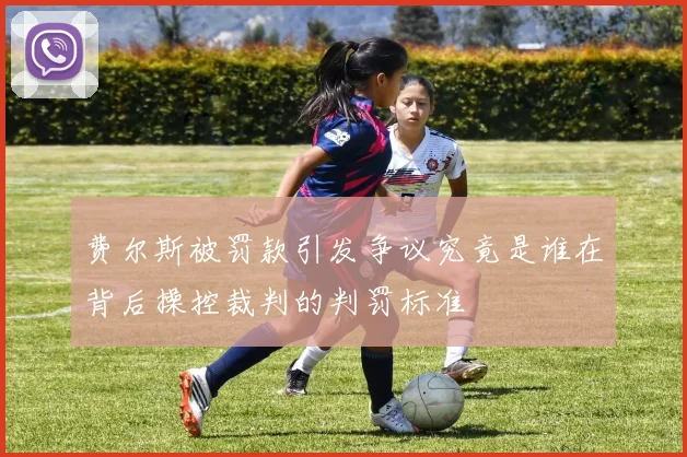 费尔斯被罚款引发争议究竟是谁在背后操控裁判的判罚标准